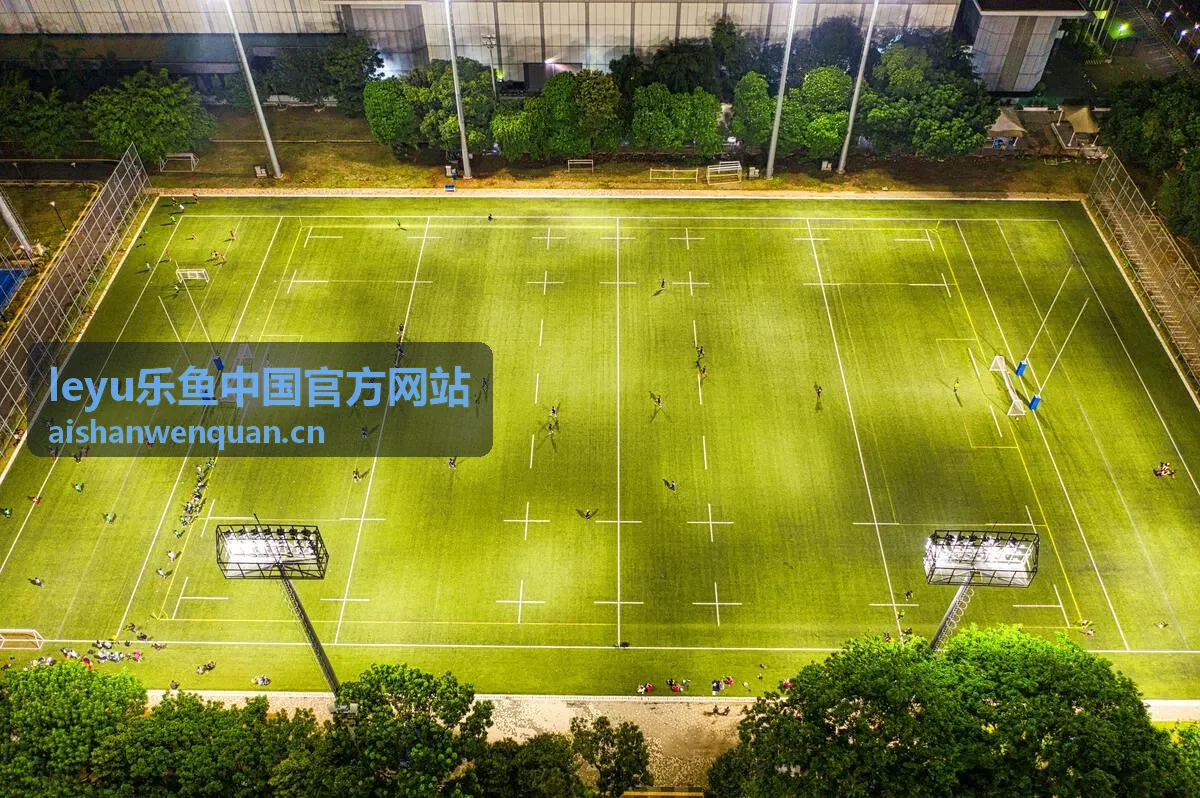 leyu乐鱼中国官方网站品牌形象展示图