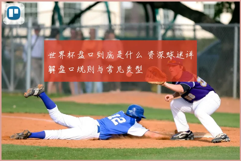 世界杯盘口到底是什么 资深球迷详解盘口规则与常见类型