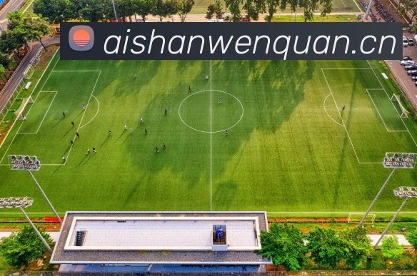 开云·kaiyun(中国)体育官方网站 - 登录入口APP 封面图